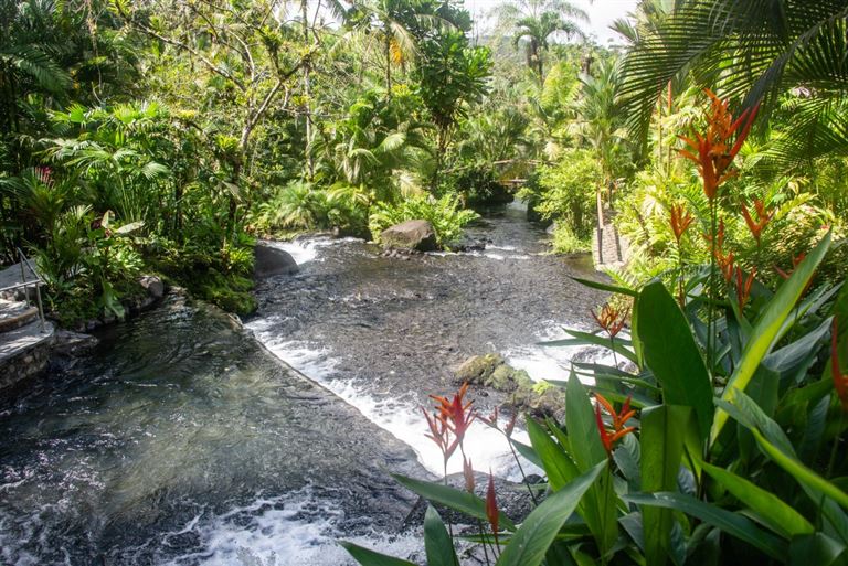 Pura Vida-Costa Rica hautnah mit Badeverlängerung © RaquelMogado/adobestock